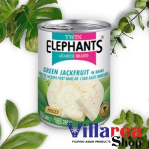 TE Jackfruit Green Pieces 540g