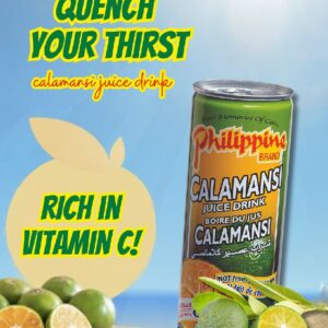 Philippine Brand Juice Calamansi 250ml